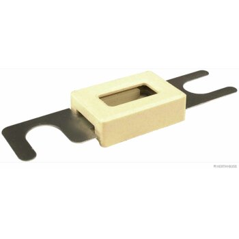 HERTH+BUSS Sicherung Strip with housing, 48V, 100 A -...