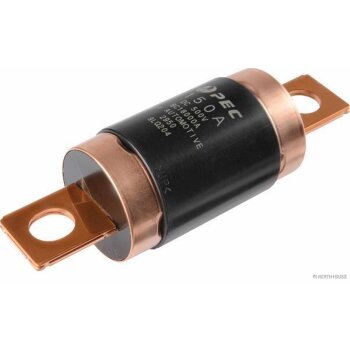 HERTH+BUSS Sicherung HEV, 500 V, 150 A - 50295391