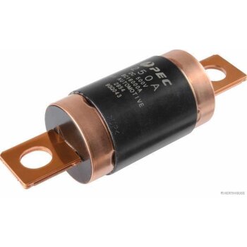 HERTH+BUSS Sicherung HEV, 500 V, 250 A - 50295395