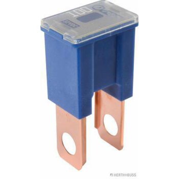HERTH+BUSS Sicherung PAL-B, 100 A - 50295449