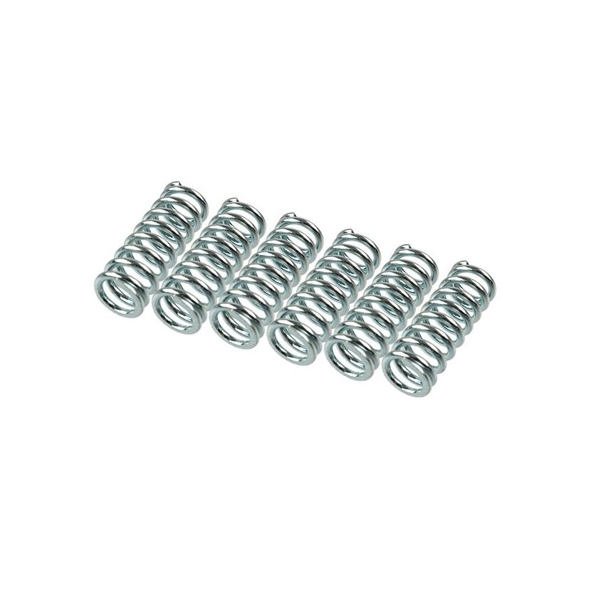 TRW Kupplungsfedernsatz MEF145-6 - MEF1456