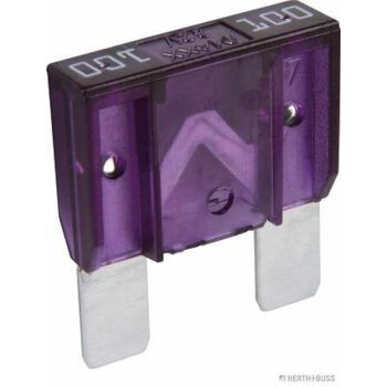 HERTH+BUSS Sicherung MAXI, 100 A - 50295550066