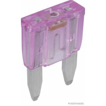 HERTH+BUSS Sicherung MINI Smart-Glow, 3 A, 10 pcs -...