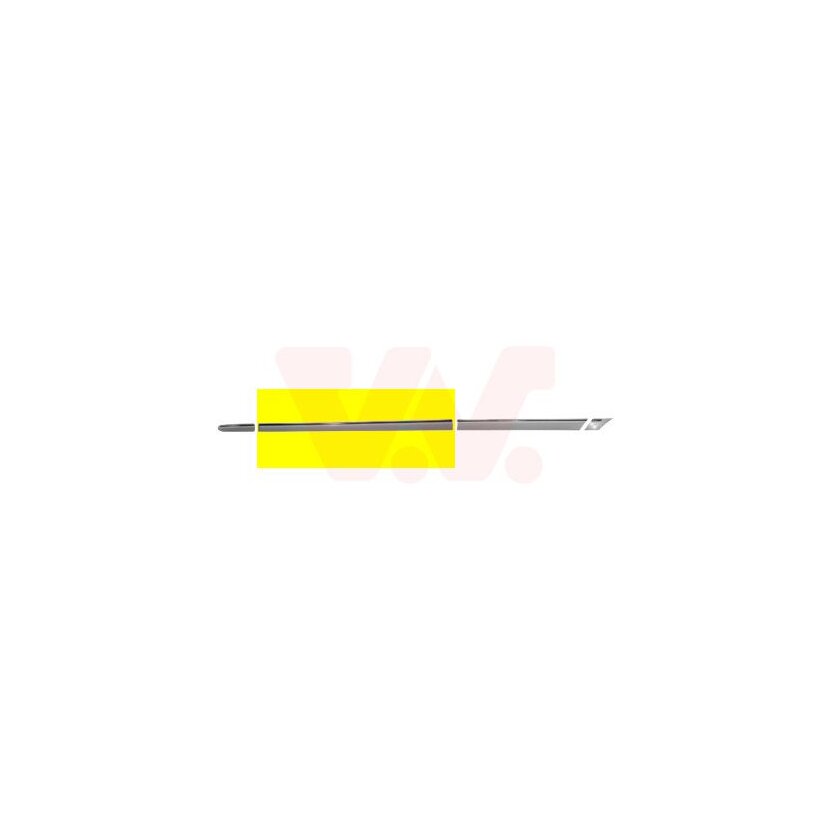VAN WEZEL Zier-/Schutzleiste, Tür 3032424 für 203-690-50-62