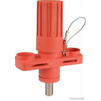 HERTH+BUSS Fremdstartpunkt Bolzen "+" 20 mm -...