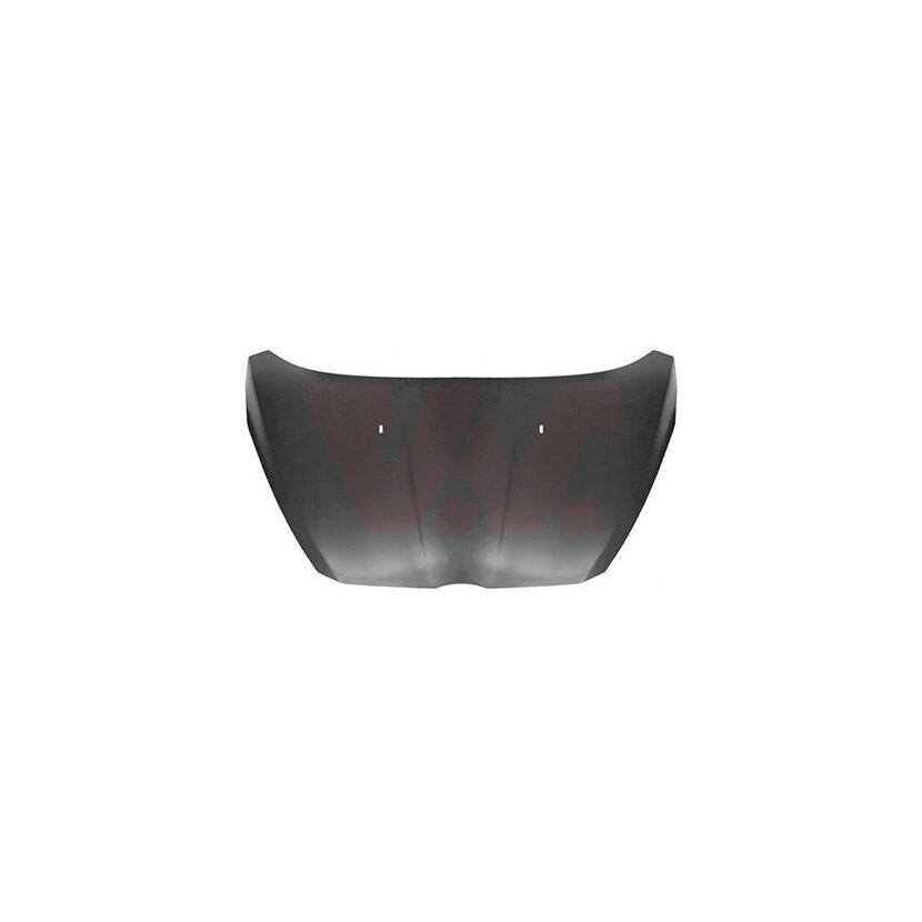 VAN WEZEL Motorhaube 1801660 für 2100964