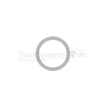 Wabco Scheibe 13729116 - 13 729 116