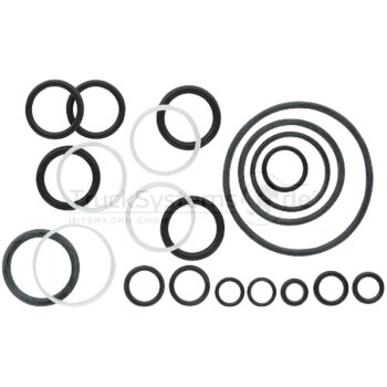 Bosch/Rexroth Dichtsatz