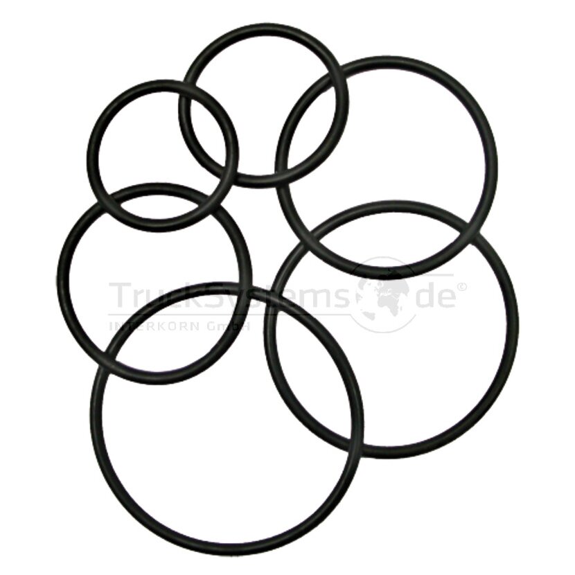 O-Ring