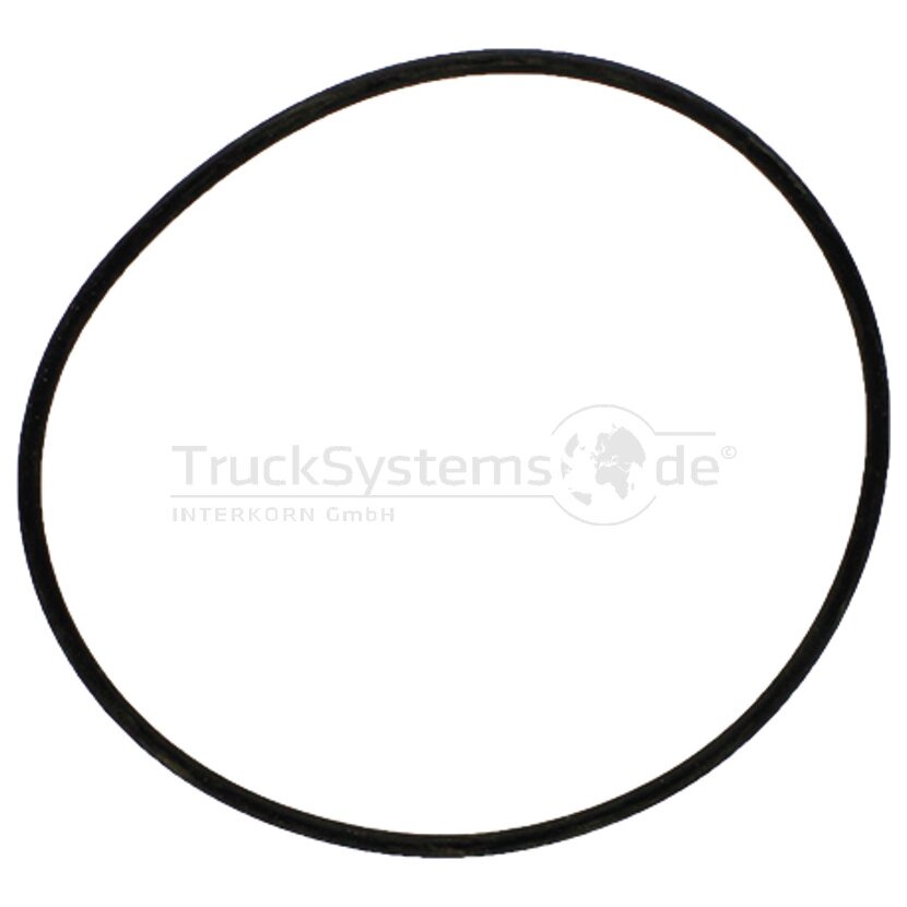 SAF-HOLLAND O-Ring