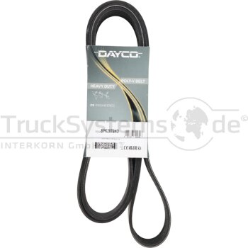 Dayco Keilrippenriemen