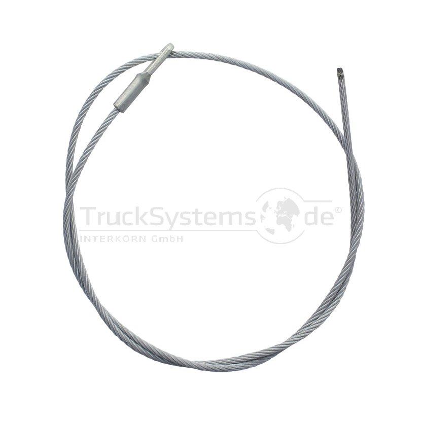 Edscha Sicherungsseil 1000mm CSProfi 4100085431