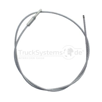 Edscha Sicherungsseil 1000mm CSProfi 4100085431