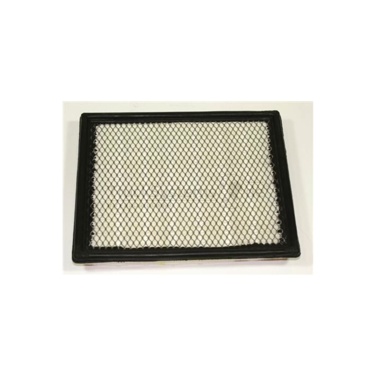 Fleetguard Luftfilter AF55727