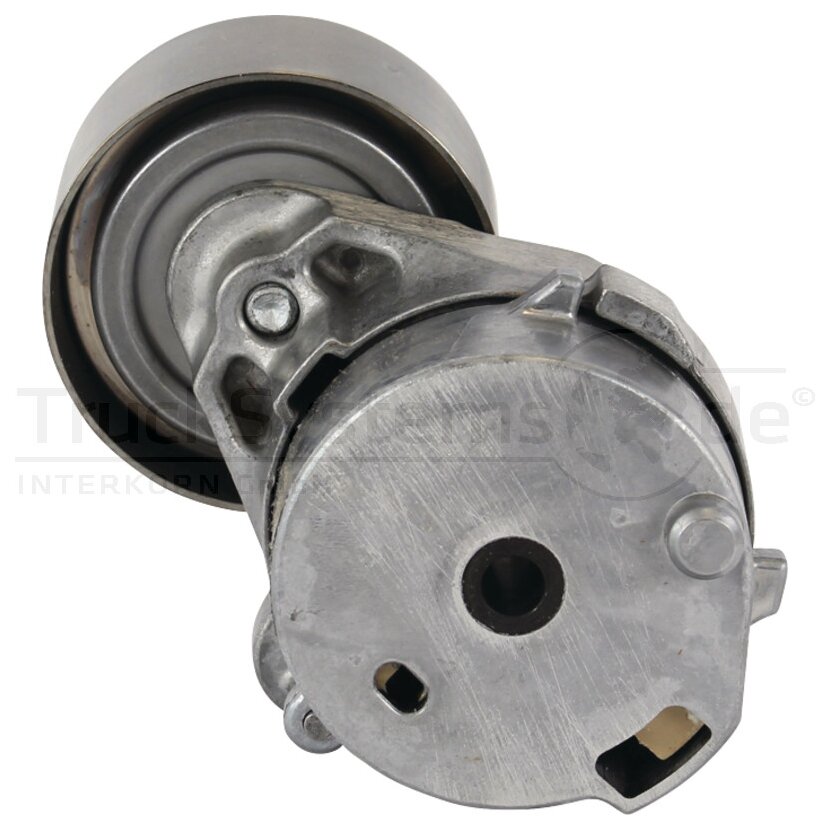 DAYCO Keilrippenriemenspanner -  APV2821
