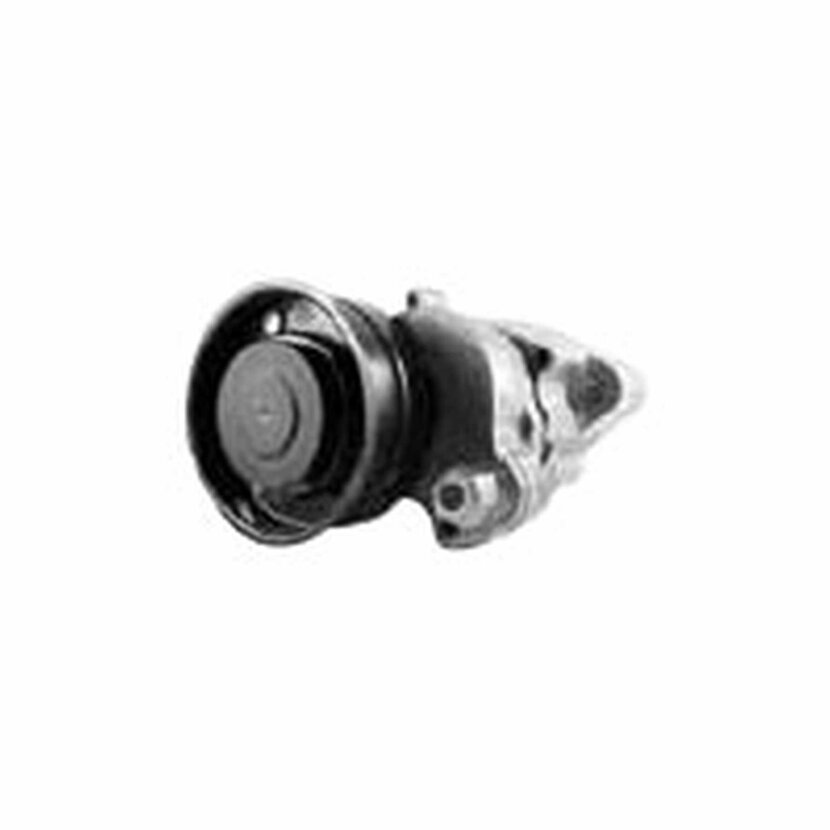DAYCO Keilrippenriemenspanner - APV2473