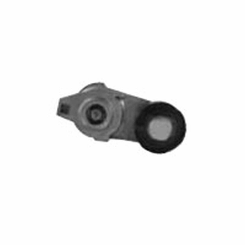 DAYCO Keilrippenriemenspanner - APV2450