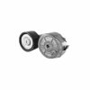 DAYCO Keilrippenriemenspanner -  APV1151