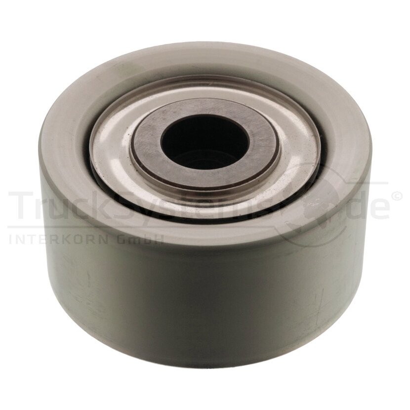 DAYCO Umlenk-/Führungsrolle für Keilrippenriemen-  APV2403