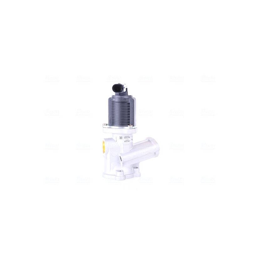 NISSENS AGR-Ventil 98175 für 55184651