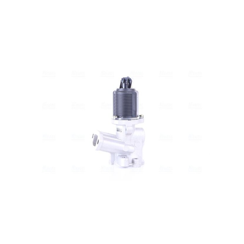 NISSENS AGR-Ventil 98175 für 55184651