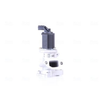 NISSENS AGR-Ventil 98175 für 55184651
