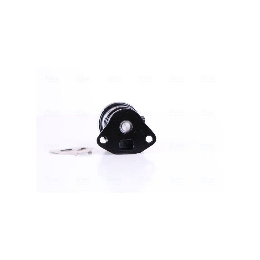 NISSENS AGR-Ventil 98246 für 96253548