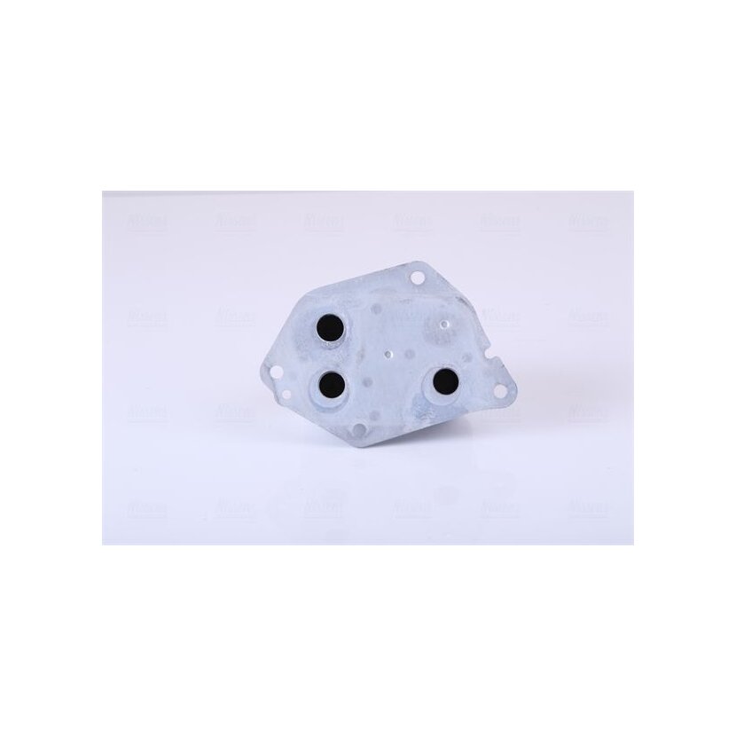 NISSENS Ölkühler, Motoröl 90721 für 264102A300