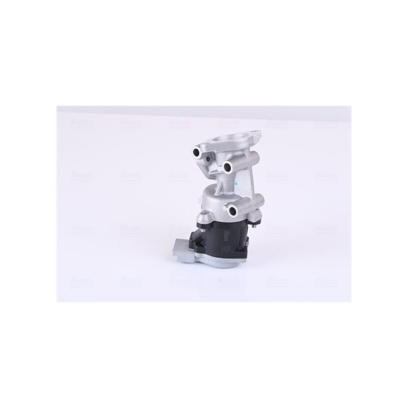 NISSENS AGR-Ventil 98240 für 1618N6