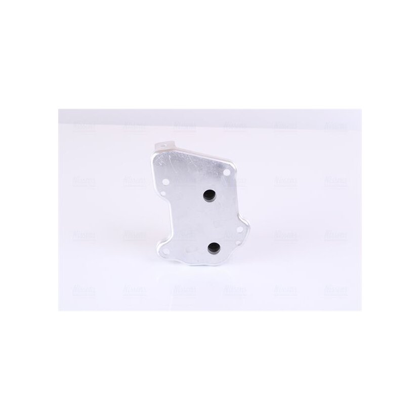 NISSENS Ölkühler, Motoröl 90977 für 5650790
