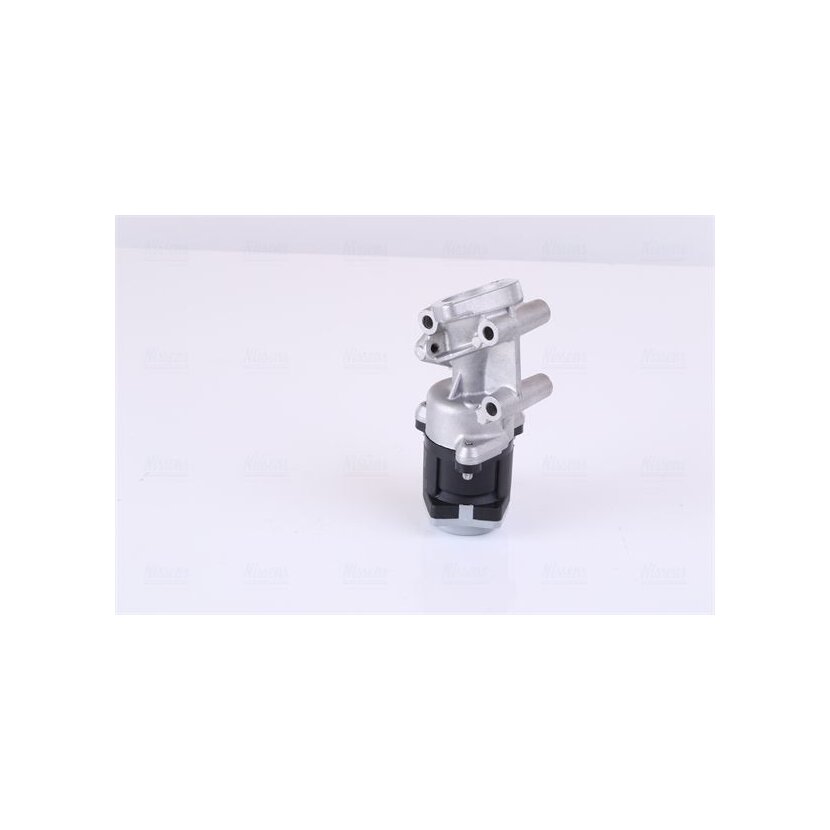 NISSENS AGR-Ventil 98237 für 1618N7
