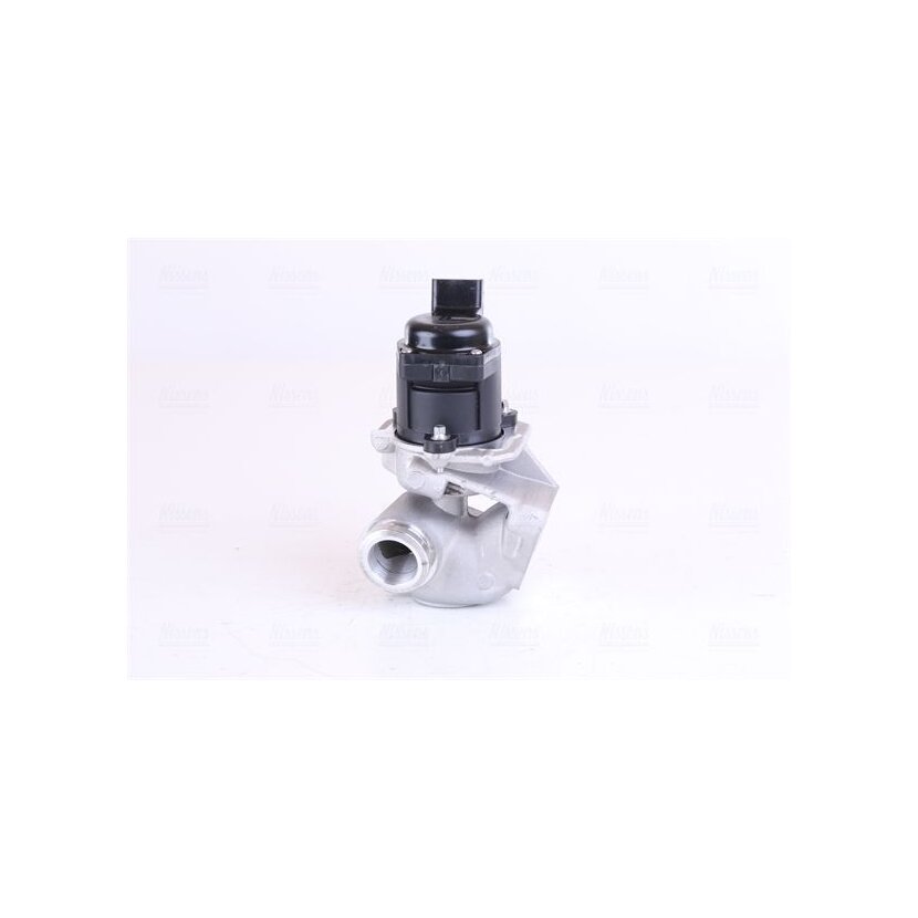 NISSENS AGR-Ventil 98150 für 161859