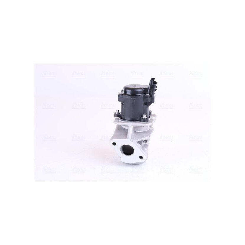 NISSENS AGR-Ventil 98150 für 161859
