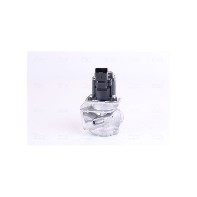 NISSENS AGR-Ventil 98150 für 161859