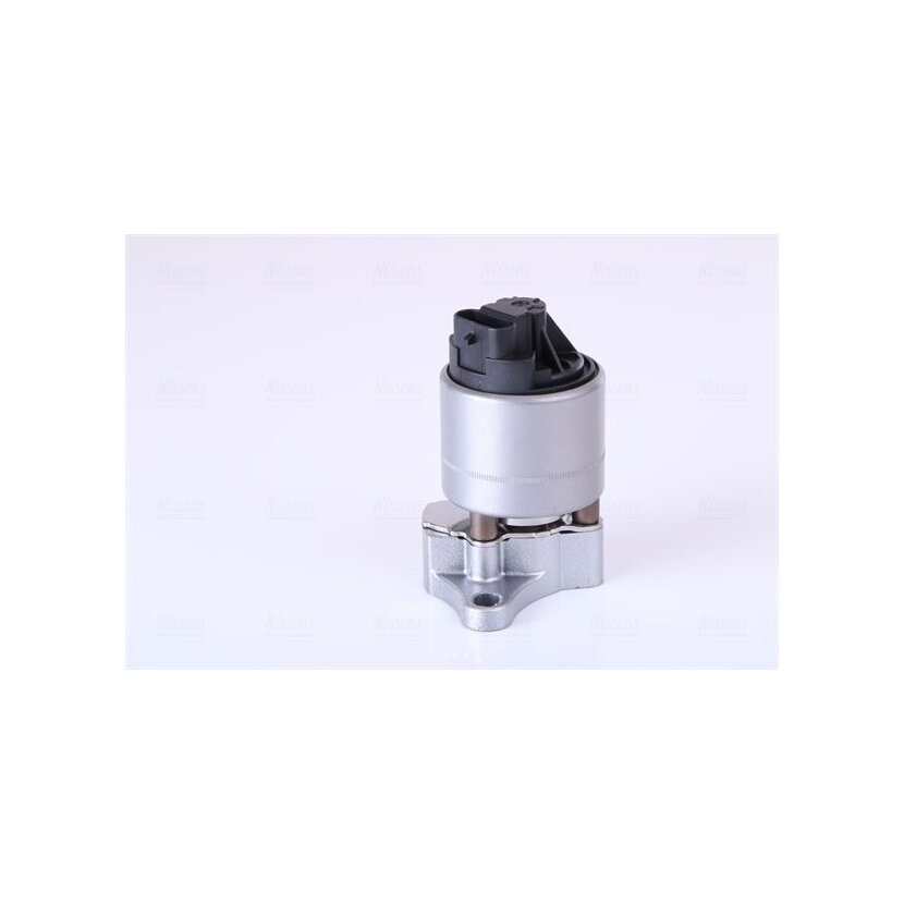 NISSENS AGR-Ventil 98187 für 17098361
