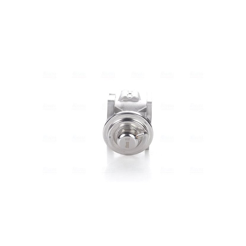 NISSENS AGR-Ventil 98173 für 038129637D