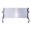 NISSENS Kühler, Motorkühlung 636728 für 25310G4300