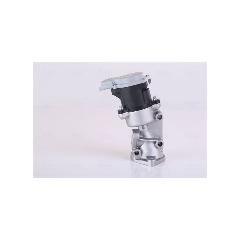 NISSENS AGR-Ventil 98351 für 7H2Q9D475DD