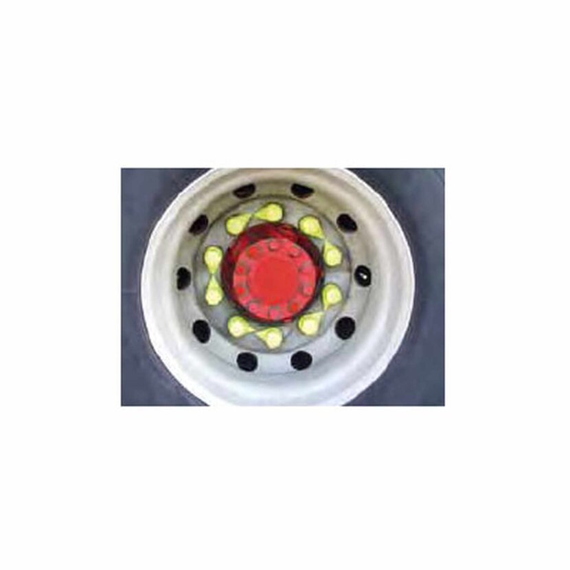 Radmutterindikator Dustite- DTY32
