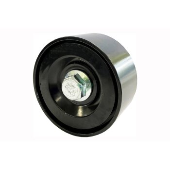 Schaeffler INA Umlenk-/Führungsrolle,...