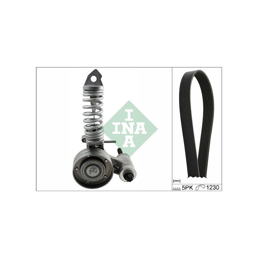 Schaeffler INA Keilrippenriemensatz 529 0296 10 - 529029610 für 13 40 085