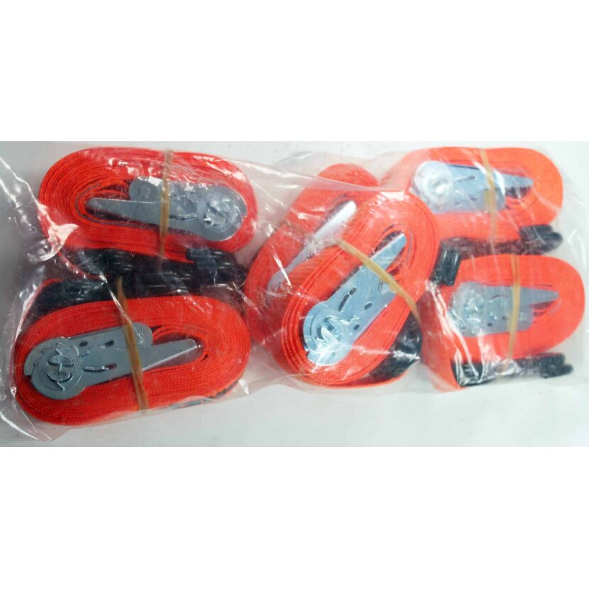 DOLEZYCH Befestigungssatz, 6er Set mit Mini-Ratsche und 12 x S-Haken passend für Ladungssicherungsnetz - 1600 2380
