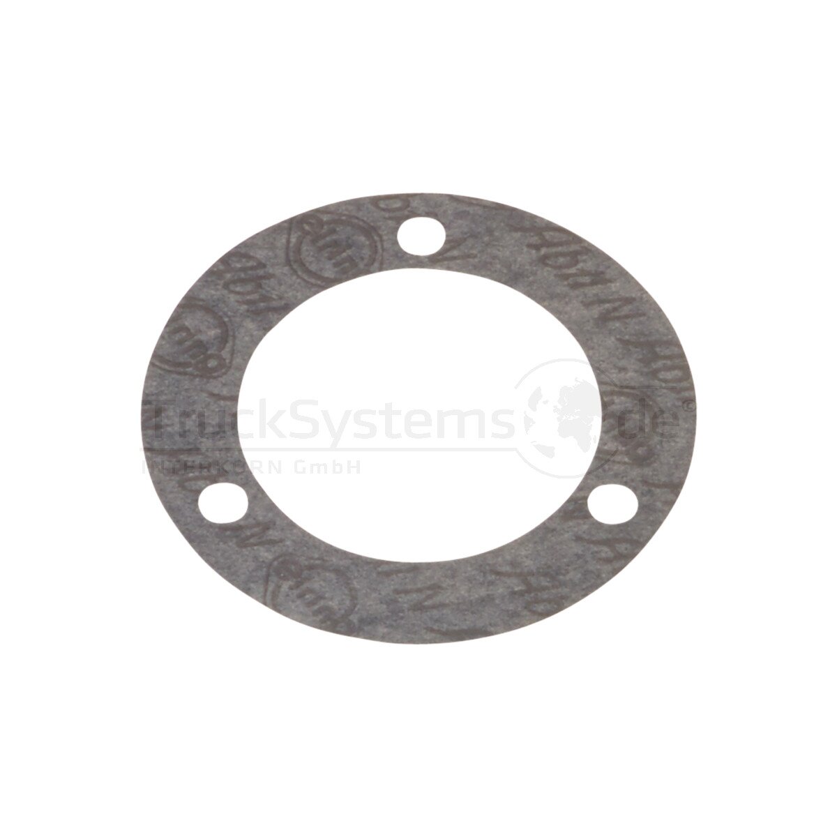 SAF Dichtscheibe - 01093001700