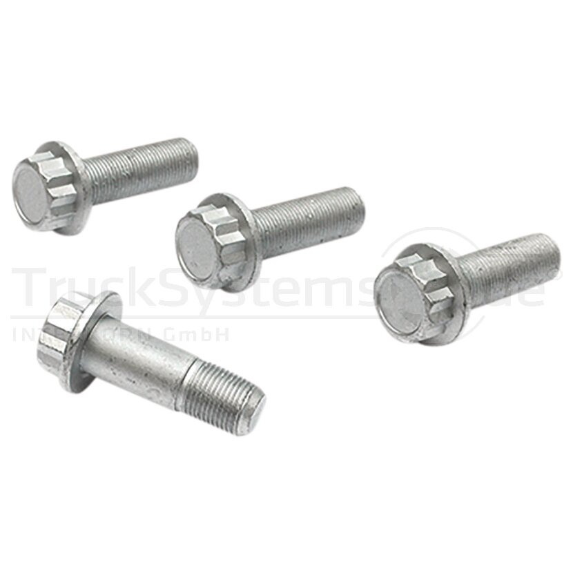 Reparatursatz Bremssattelbefestigung passend für SAF  - 075.619 - 8680281742244 - 075619