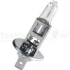PHILIPS Halogenlampe H1 12V/55W Longlife ECO Vis  - 12258LLECOC1