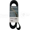 DAYCO Keilrippenriemen L: 1814mm  - 12PK1814HD
