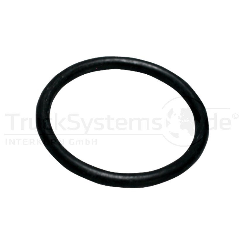 Schmutz-O-Ring - 227EB420