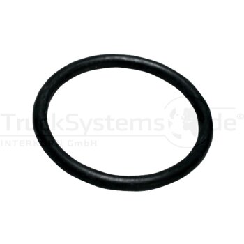 Schmutz-O-Ring - 227EB420