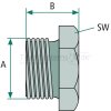 Verschlussschraube M22 x 1 5 ohne O-Ring  - 076.177-00A - 4044407020755 - 07617700A