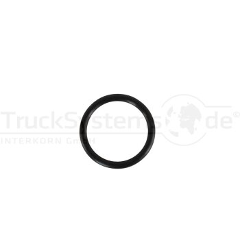O Ring 20 x 2 5 für Gewinde M22 x 1 5  - 076.234-00A...